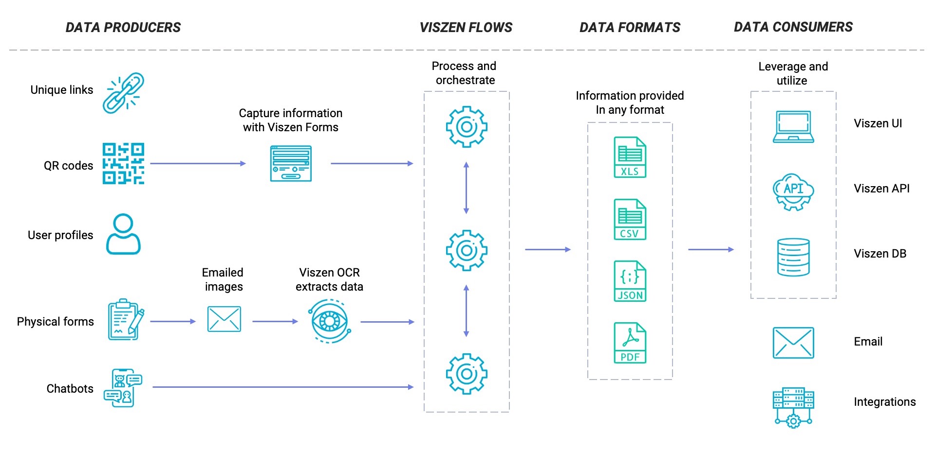 Viszen solution overview